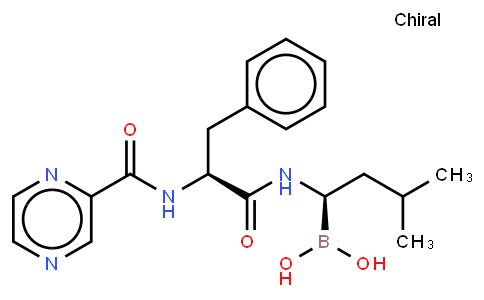 Bortezomib