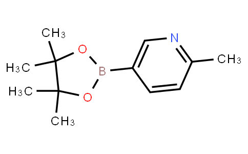 2-Picoline-5-boronic acid pinacol ester