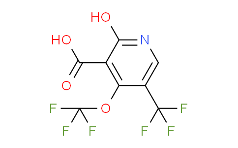 AM158857 | 1804342-57-1 | 2-Hydroxy-4-(trifluoromethoxy)-5-(trifluoromethyl)pyridine-3-carboxylic acid