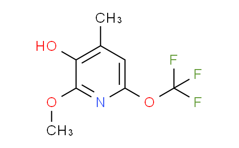 AM164220 | 1804434-00-1 | 3-Hydroxy-2-methoxy-4-methyl-6-(trifluoromethoxy)pyridine