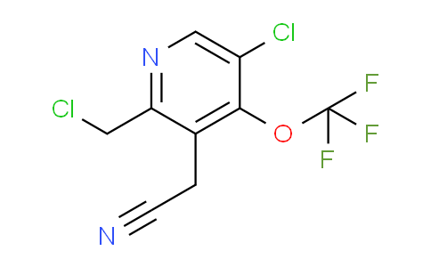 AM176590 | 1804560-11-9 | 5-Chloro-2-(chloromethyl)-4-(trifluoromethoxy)pyridine-3-acetonitrile