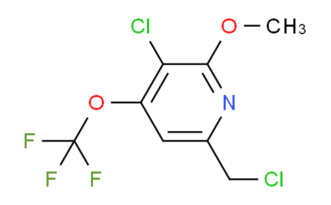 3-Chloro-6-(chloromethyl)-2-methoxy-4-(trifluoromethoxy)pyridine