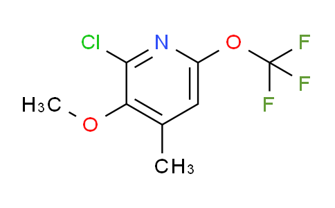 AM177303 | 1806112-41-3 | 2-Chloro-3-methoxy-4-methyl-6-(trifluoromethoxy)pyridine