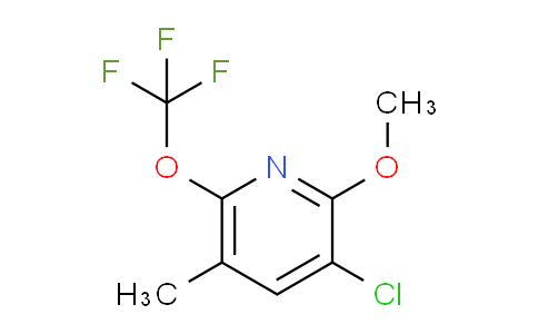 AM177917 | 1806112-50-4 | 3-Chloro-2-methoxy-5-methyl-6-(trifluoromethoxy)pyridine