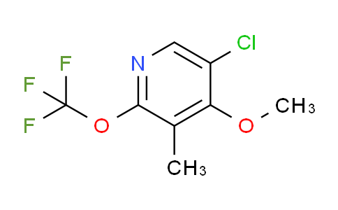 AM177920 | 1804685-65-1 | 5-Chloro-4-methoxy-3-methyl-2-(trifluoromethoxy)pyridine