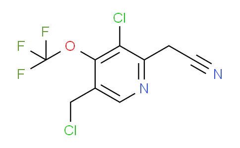 3-Chloro-5-(chloromethyl)-4-(trifluoromethoxy)pyridine-2-acetonitrile