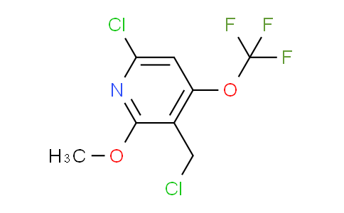 AM181323 | 1803918-23-1 | 6-Chloro-3-(chloromethyl)-2-methoxy-4-(trifluoromethoxy)pyridine