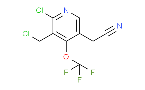 2-Chloro-3-(chloromethyl)-4-(trifluoromethoxy)pyridine-5-acetonitrile