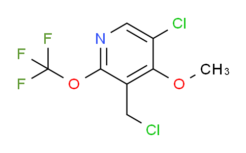 AM183937 | 1804549-98-1 | 5-Chloro-3-(chloromethyl)-4-methoxy-2-(trifluoromethoxy)pyridine
