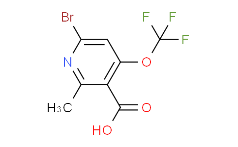 6-Bromo-2-methyl-4-(trifluoromethoxy)pyridine-3-carboxylic acid