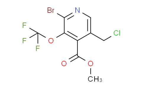 AM184699 | 1804544-14-6 | Methyl 2-bromo-5-(chloromethyl)-3-(trifluoromethoxy)pyridine-4-carboxylate