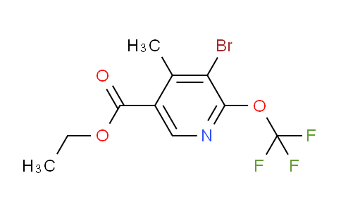 AM186179 | 1806212-31-6 | Ethyl 3-bromo-4-methyl-2-(trifluoromethoxy)pyridine-5-carboxylate