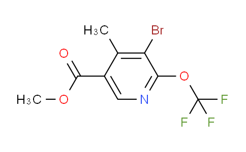 AM186254 | 1804582-44-2 | Methyl 3-bromo-4-methyl-2-(trifluoromethoxy)pyridine-5-carboxylate
