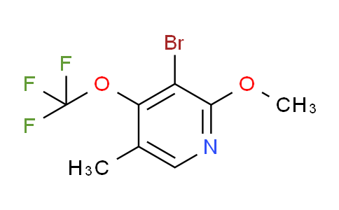 AM186826 | 1806128-83-5 | 3-Bromo-2-methoxy-5-methyl-4-(trifluoromethoxy)pyridine