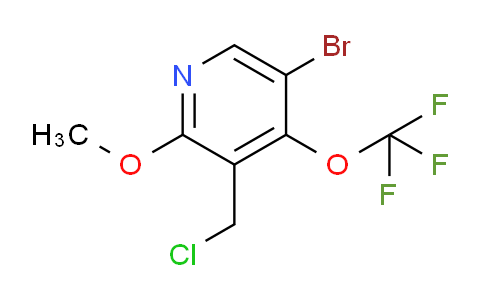 AM187122 | 1804395-37-6 | 5-Bromo-3-(chloromethyl)-2-methoxy-4-(trifluoromethoxy)pyridine