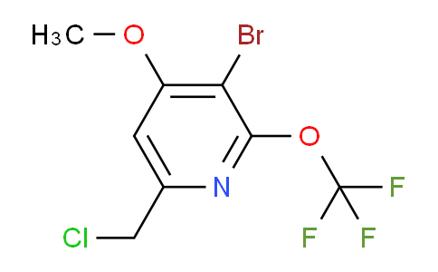 AM187163 | 1806092-58-9 | 3-Bromo-6-(chloromethyl)-4-methoxy-2-(trifluoromethoxy)pyridine AM187163 | 1806092-58-9 | 3-Bromo-6-(chloromethyl)-4-methoxy-2-(trifluoromethoxy)pyridine
