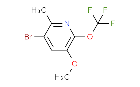 AM187298 | 1803478-99-0 | 3-Bromo-5-methoxy-2-methyl-6-(trifluoromethoxy)pyridine