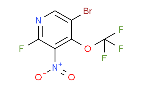 AM187533 | 1806030-50-1 | 5-Bromo-2-fluoro-3-nitro-4-(trifluoromethoxy)pyridine
