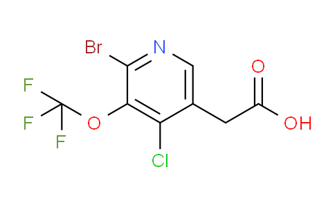 2-Bromo-4-chloro-3-(trifluoromethoxy)pyridine-5-acetic acid