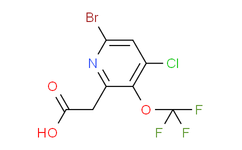 AM188077 | 1804643-95-5 | 6-Bromo-4-chloro-3-(trifluoromethoxy)pyridine-2-acetic acid
