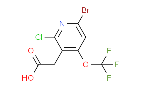 6-Bromo-2-chloro-4-(trifluoromethoxy)pyridine-3-acetic acid