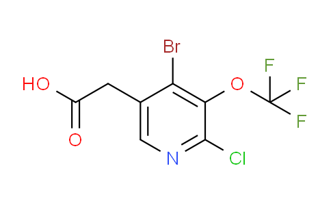 AM188102 | 1803975-56-5 | 4-Bromo-2-chloro-3-(trifluoromethoxy)pyridine-5-acetic acid