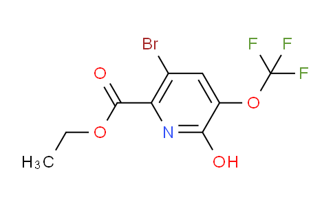 Ethyl 5-bromo-2-hydroxy-3-(trifluoromethoxy)pyridine-6-carboxylate
