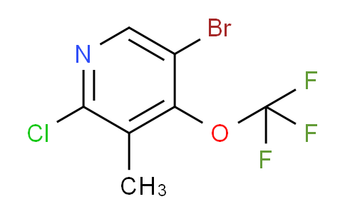 AM188450 | 1805995-91-8 | 5-Bromo-2-chloro-3-methyl-4-(trifluoromethoxy)pyridine