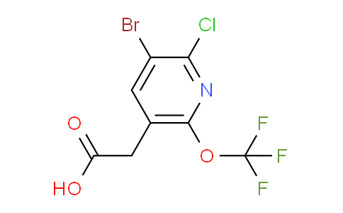 3-Bromo-2-chloro-6-(trifluoromethoxy)pyridine-5-acetic acid