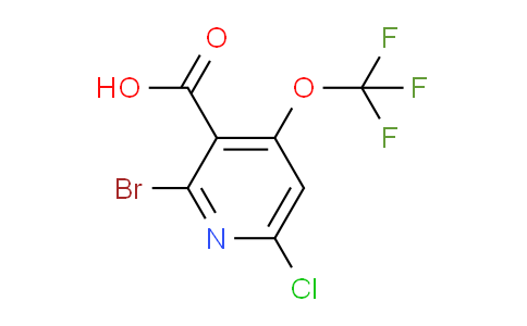 2-Bromo-6-chloro-4-(trifluoromethoxy)pyridine-3-carboxylic acid