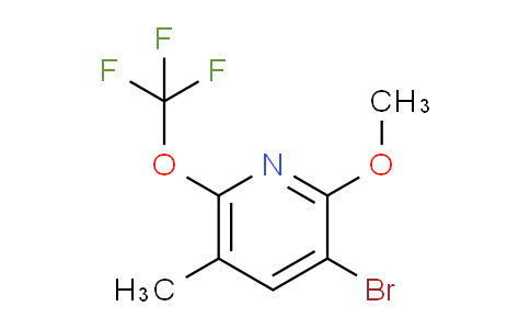 AM188920 | 1803904-11-1 | 3-Bromo-2-methoxy-5-methyl-6-(trifluoromethoxy)pyridine