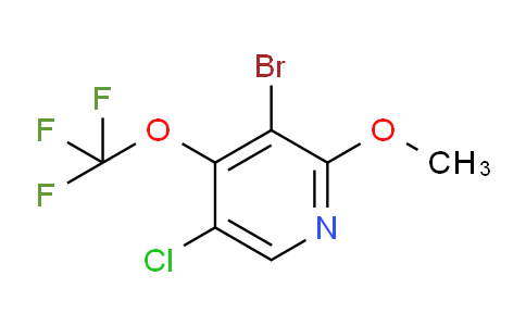 AM188949 | 1803613-20-8 | 3-Bromo-5-chloro-2-methoxy-4-(trifluoromethoxy)pyridine