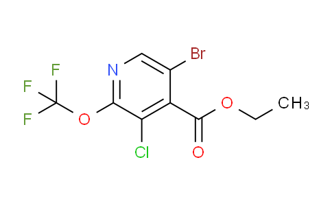 Ethyl 5-bromo-3-chloro-2-(trifluoromethoxy)pyridine-4-carboxylate