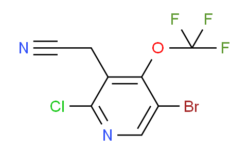 AM189242 | 1806173-06-7 | 5-Bromo-2-chloro-4-(trifluoromethoxy)pyridine-3-acetonitrile