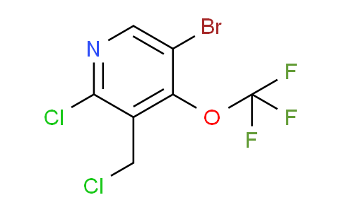 AM189692 | 1804590-38-2 | 5-Bromo-2-chloro-3-(chloromethyl)-4-(trifluoromethoxy)pyridine