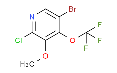 AM189870 | 1806078-59-0 | 5-Bromo-2-chloro-3-methoxy-4-(trifluoromethoxy)pyridine