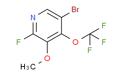 AM190346 | 1804647-09-3 | 5-Bromo-2-fluoro-3-methoxy-4-(trifluoromethoxy)pyridine