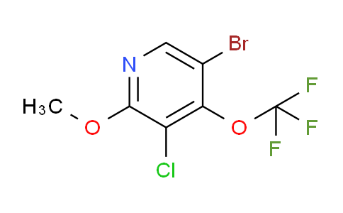 AM190436 | 1806106-89-7 | 5-Bromo-3-chloro-2-methoxy-4-(trifluoromethoxy)pyridine