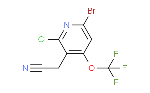AM191077 | 1806014-54-9 | 6-Bromo-2-chloro-4-(trifluoromethoxy)pyridine-3-acetonitrile