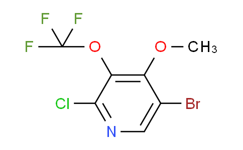 AM191391 | 1803619-13-7 | 5-Bromo-2-chloro-4-methoxy-3-(trifluoromethoxy)pyridine