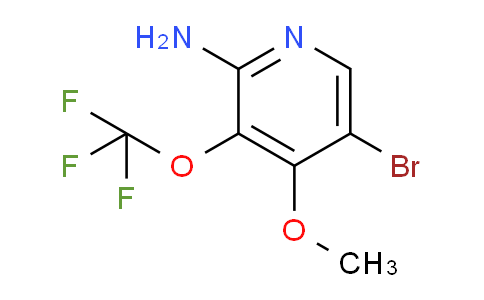 AM193830 | 1803942-48-4 | 2-Amino-5-bromo-4-methoxy-3-(trifluoromethoxy)pyridine