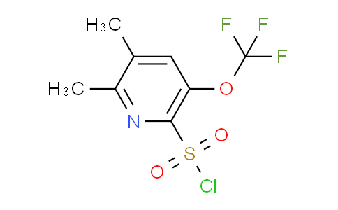 2,3-Dimethyl-5-(trifluoromethoxy)pyridine-6-sulfonyl chloride