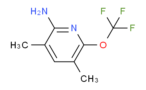 2-Amino-3,5-dimethyl-6-(trifluoromethoxy)pyridine