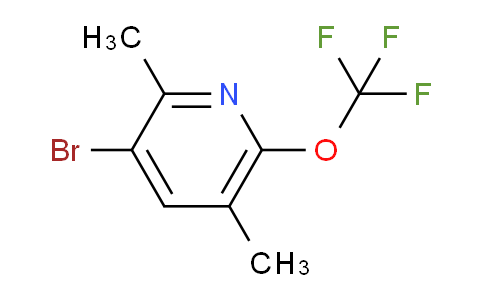 AM196604 | 1804563-44-7 | 3-Bromo-2,5-dimethyl-6-(trifluoromethoxy)pyridine