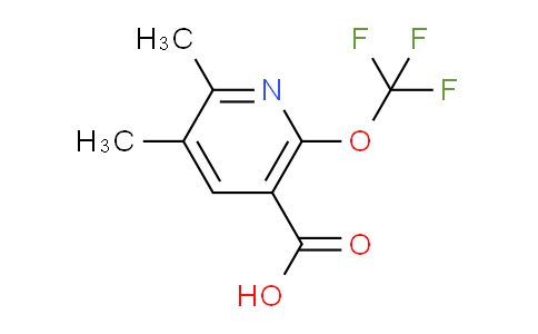 AM196936 | 1804002-47-8 | 2,3-Dimethyl-6-(trifluoromethoxy)pyridine-5-carboxylic acid