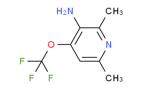 AM197080 | 1806103-25-2 | 3-Amino-2,6-dimethyl-4-(trifluoromethoxy)pyridine