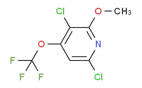AM197941 | 1804607-39-3 | 3,6-Dichloro-2-methoxy-4-(trifluoromethoxy)pyridine