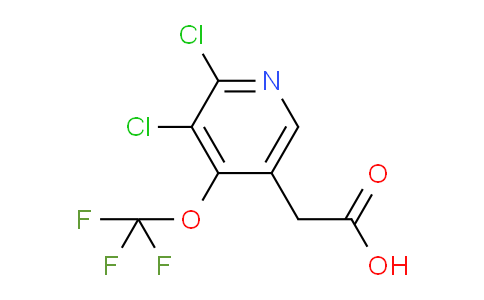 AM197989 | 1804555-92-7 | 2,3-Dichloro-4-(trifluoromethoxy)pyridine-5-acetic acid