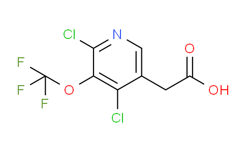 AM197992 | 1803537-89-4 | 2,4-Dichloro-3-(trifluoromethoxy)pyridine-5-acetic acid