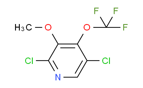 AM198470 | 1805987-83-0 | 2,5-Dichloro-3-methoxy-4-(trifluoromethoxy)pyridine